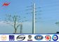 Transmissão de energia elétrica de alta tensão Polos do mastro para a linha projeto da distribuição da eletricidade fornecedor
