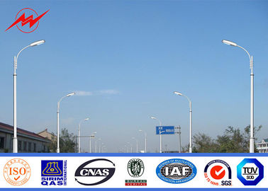 China 6 - a rua pólos claros de Systerm das energias solares da altura de 8m com 30w/60w conduziu a lâmpada fornecedor