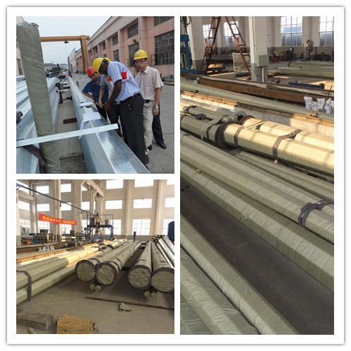 11M 13.5KNEPolo de alimentação elétrica para montagem no solo ou na placa de base Disponível em vários tamanhos e acabamentos 0